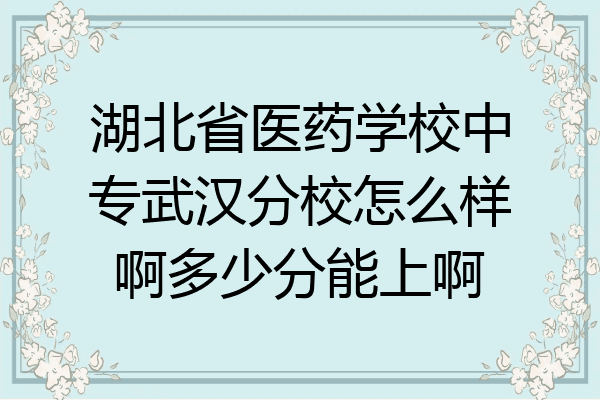 湖北省医药学校中专武汉分校怎么样啊多少分能上啊