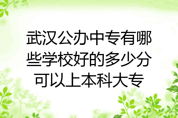 武汉公办中专有哪些学校好的多少分可以上本科大专