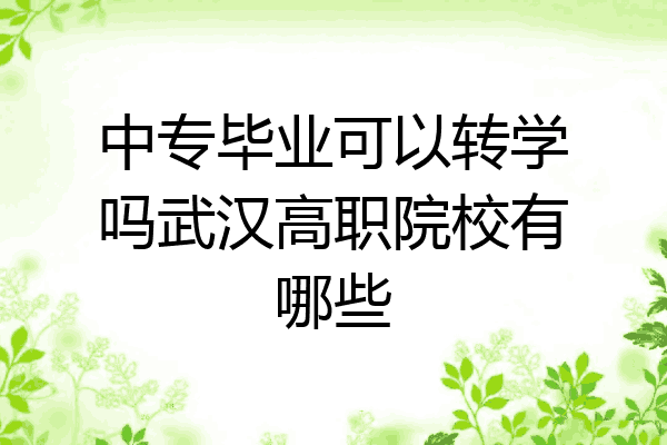 中专毕业可以转学吗武汉高职院校有哪些