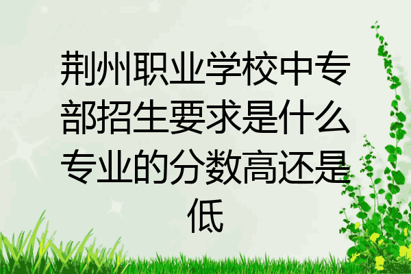 荆州职业学校中专部招生要求是什么专业的分数高还是低