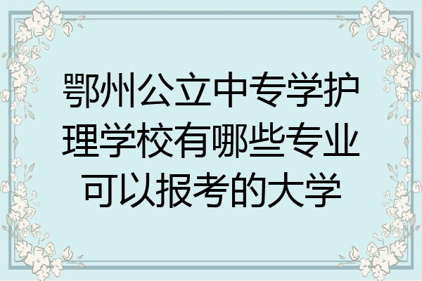 鄂州公立中专学护理学校有哪些专业可以报考的大学