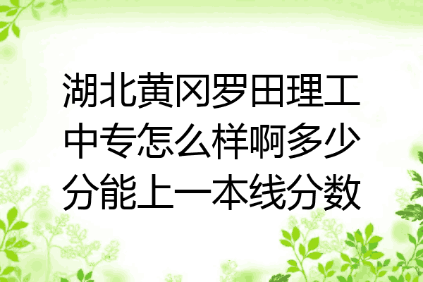 湖北黄冈罗田理工中专怎么样啊多少分能上一本线分数