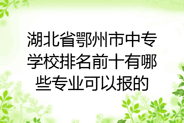 湖北省鄂州市中专学校排名前十有哪些专业可以报的