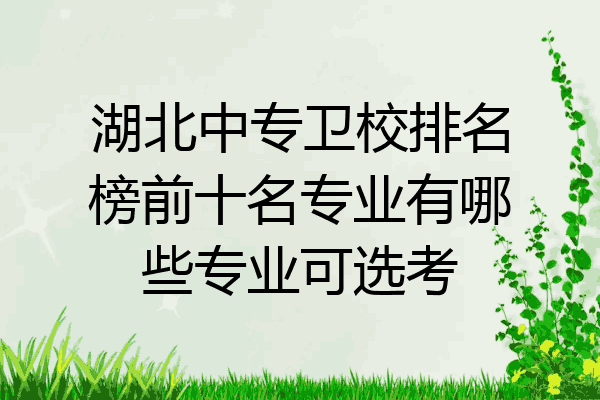 湖北中专卫校排名榜前十名专业有哪些专业可选考