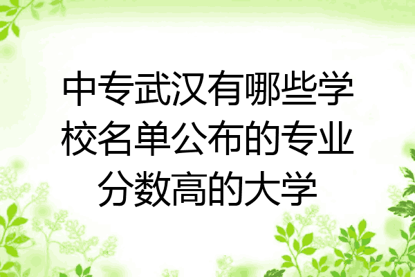 中专武汉有哪些学校名单公布的专业分数高的大学