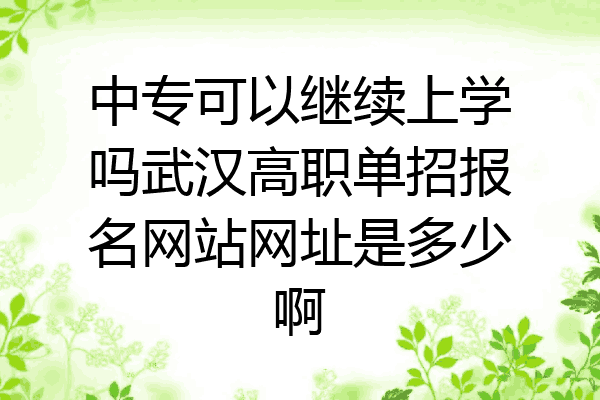 中专可以继续上学吗武汉高职单招报名网站网址是多少啊