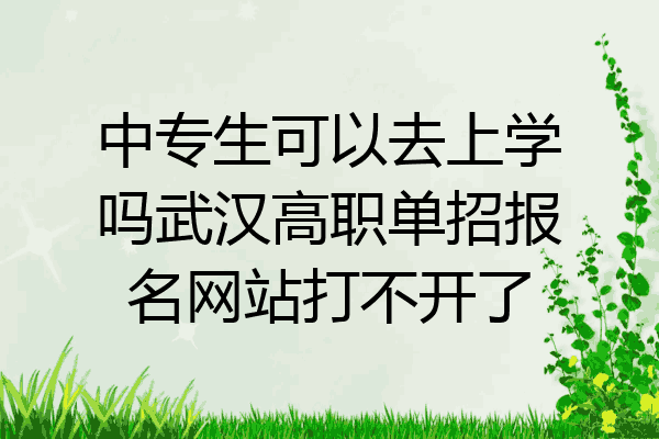 中专生可以去上学吗武汉高职单招报名网站打不开了