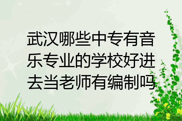 武汉哪些中专有音乐专业的学校好进去当老师有编制吗