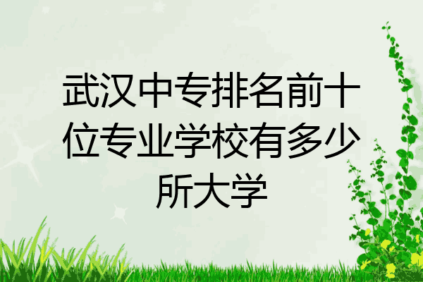 武汉中专排名前十位专业学校有多少所大学