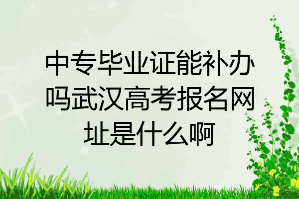 中专毕业证能补办吗武汉高考报名网址是什么啊
