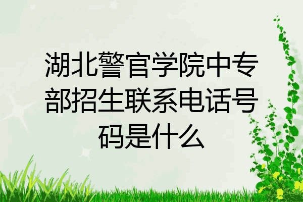 湖北警官学院中专部招生联系电话号码是什么