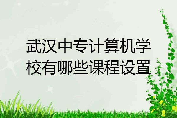 武汉中专计算机学校有哪些课程设置