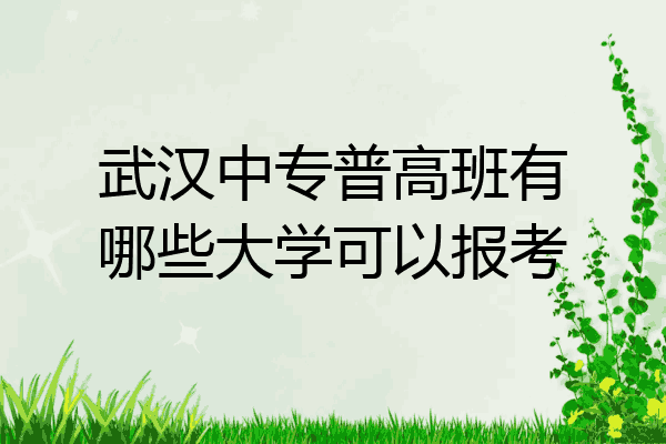 武汉中专普高班有哪些大学可以报考