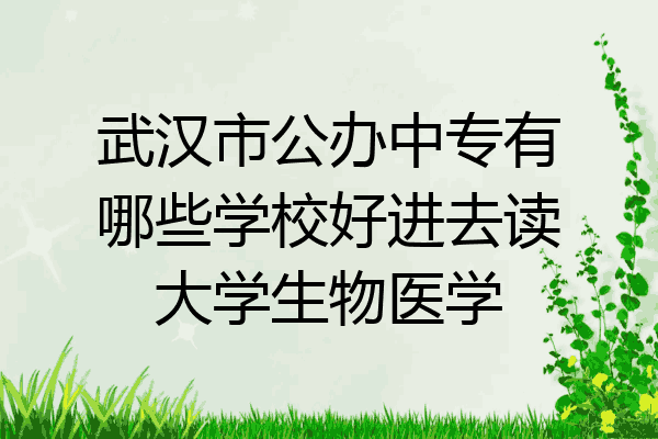 武汉市公办中专有哪些学校好进去读大学生物医学