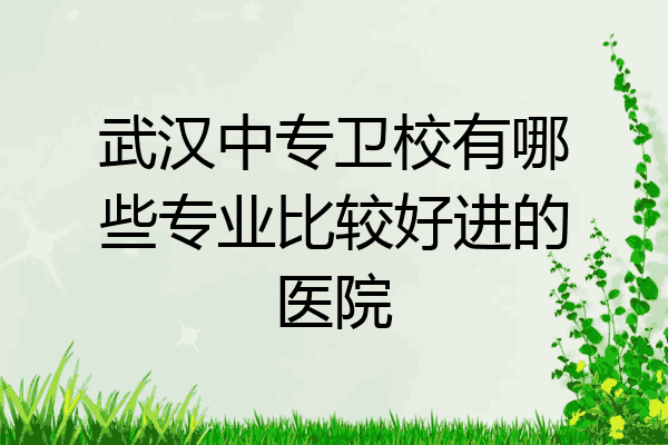 武汉中专卫校有哪些专业比较好进的医院