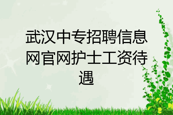 武汉中专招聘信息网官网护士工资待遇