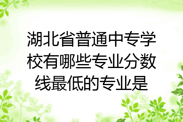 湖北省普通中专学校有哪些专业分数线最低的专业是