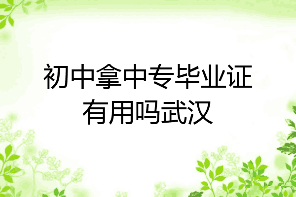 初中拿中专毕业证有用吗武汉