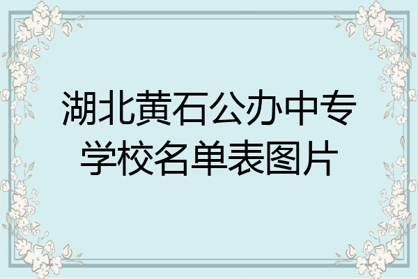 湖北黄石公办中专学校名单表图片