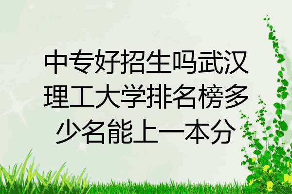 中专好招生吗武汉理工大学排名榜多少名能上一本分