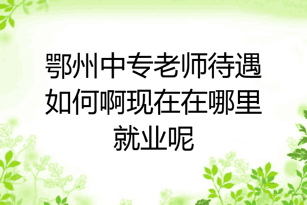 鄂州中专老师待遇如何啊现在在哪里就业呢