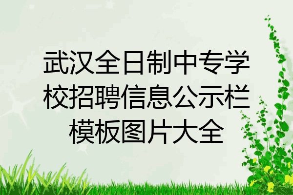 武汉全日制中专学校招聘信息公示栏模板图片大全