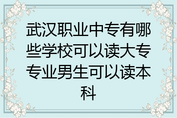 武汉职业中专有哪些学校可以读大专专业男生可以读本科