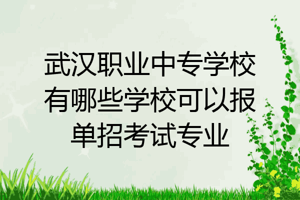 武汉职业中专学校有哪些学校可以报单招考试专业