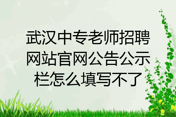 武汉中专老师招聘网站官网公告公示栏怎么填写不了