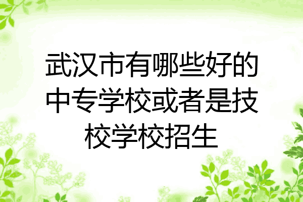 武汉市有哪些好的中专学校或者是技校学校招生