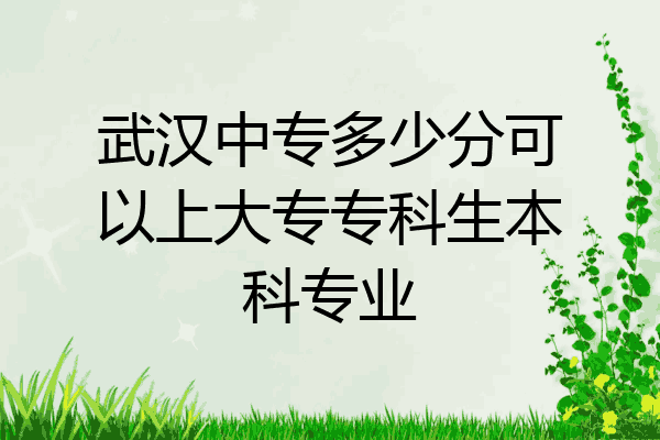 武汉中专多少分可以上大专专科生本科专业