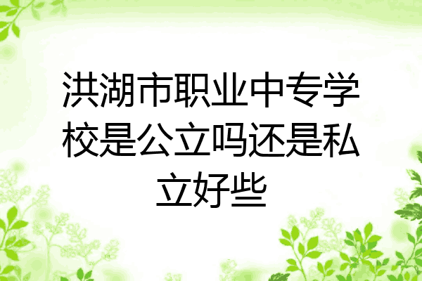 洪湖市职业中专学校是公立吗还是私立好些