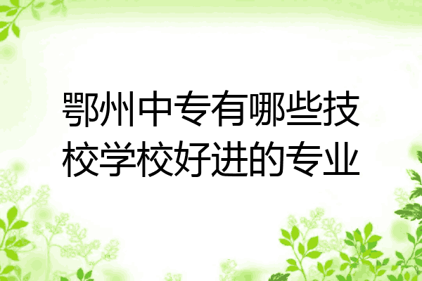 鄂州中专有哪些技校学校好进的专业