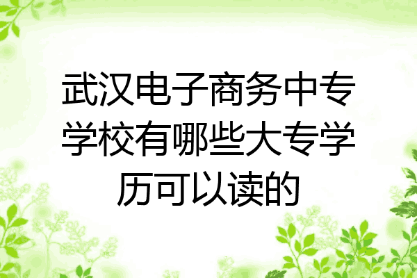 武汉电子商务中专学校有哪些大专学历可以读的
