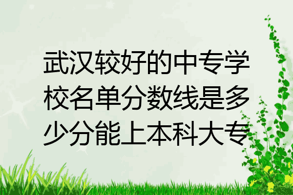 武汉较好的中专学校名单分数线是多少分能上本科大专