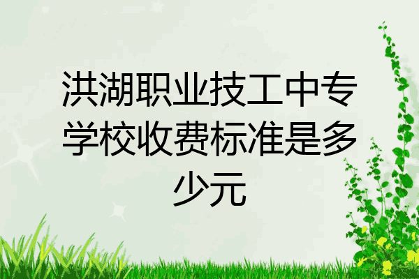 洪湖职业技工中专学校收费标准是多少元