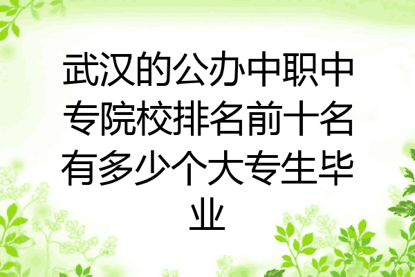 武汉的公办中职中专院校排名前十名有多少个大专生毕业