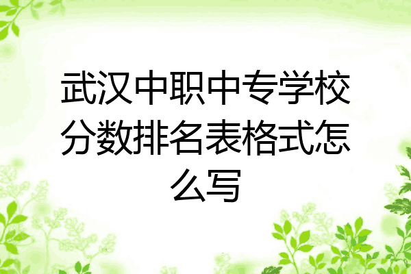 武汉中职中专学校分数排名表格式怎么写