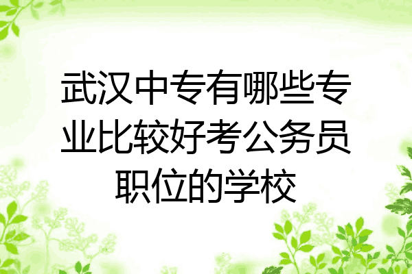 武汉中专有哪些专业比较好考公务员职位的学校