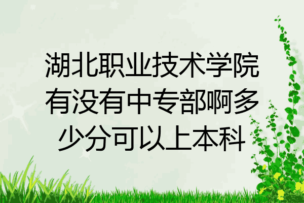 湖北职业技术学院有没有中专部啊多少分可以上本科