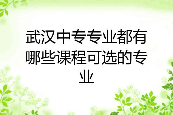 武汉中专专业都有哪些课程可选的专业