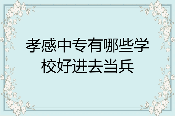 孝感中专有哪些学校好进去当兵