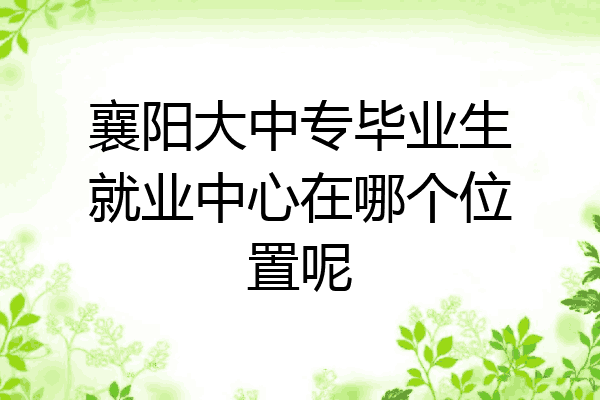 襄阳大中专毕业生就业中心在哪个位置呢