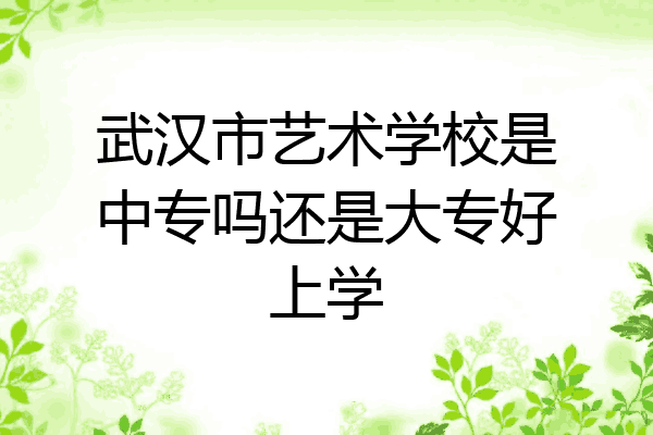 武汉市艺术学校是中专吗还是大专好上学
