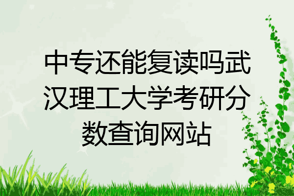 中专还能复读吗武汉理工大学考研分数查询网站