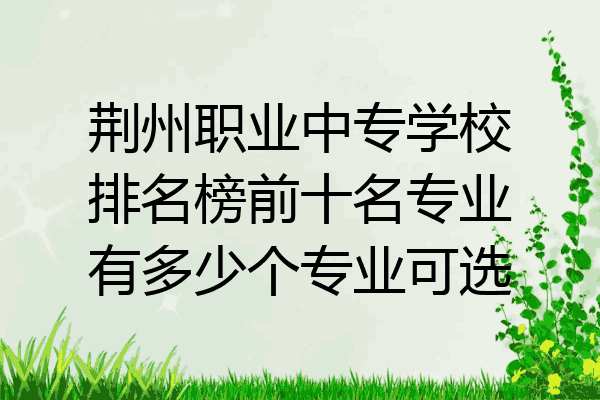 荆州职业中专学校排名榜前十名专业有多少个专业可选