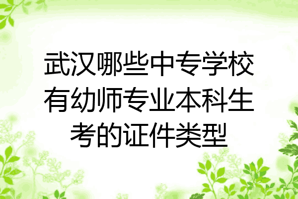 武汉哪些中专学校有幼师专业本科生考的证件类型