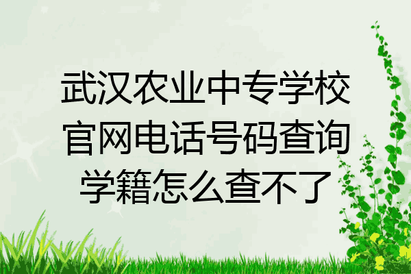 武汉农业中专学校官网电话号码查询学籍怎么查不了