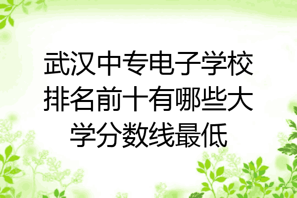 武汉中专电子学校排名前十有哪些大学分数线最低