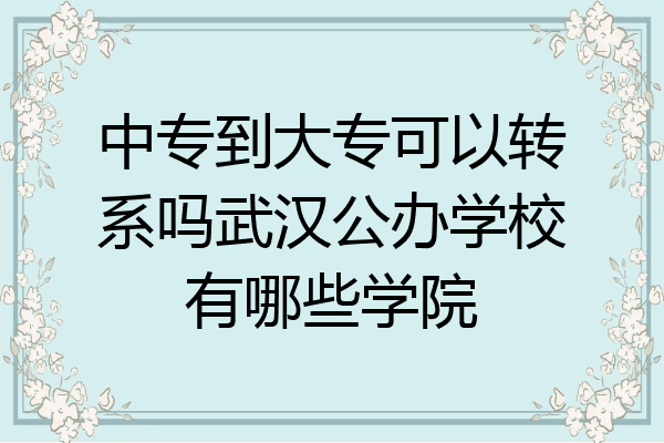 中专到大专可以转系吗武汉公办学校有哪些学院